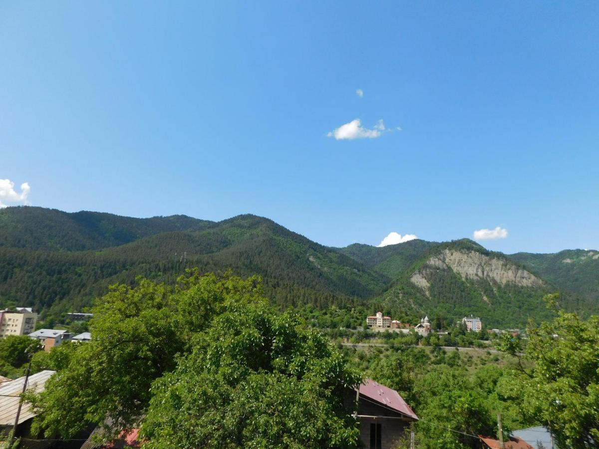 Akaki'S Guesthouse Borjomi Exterior photo