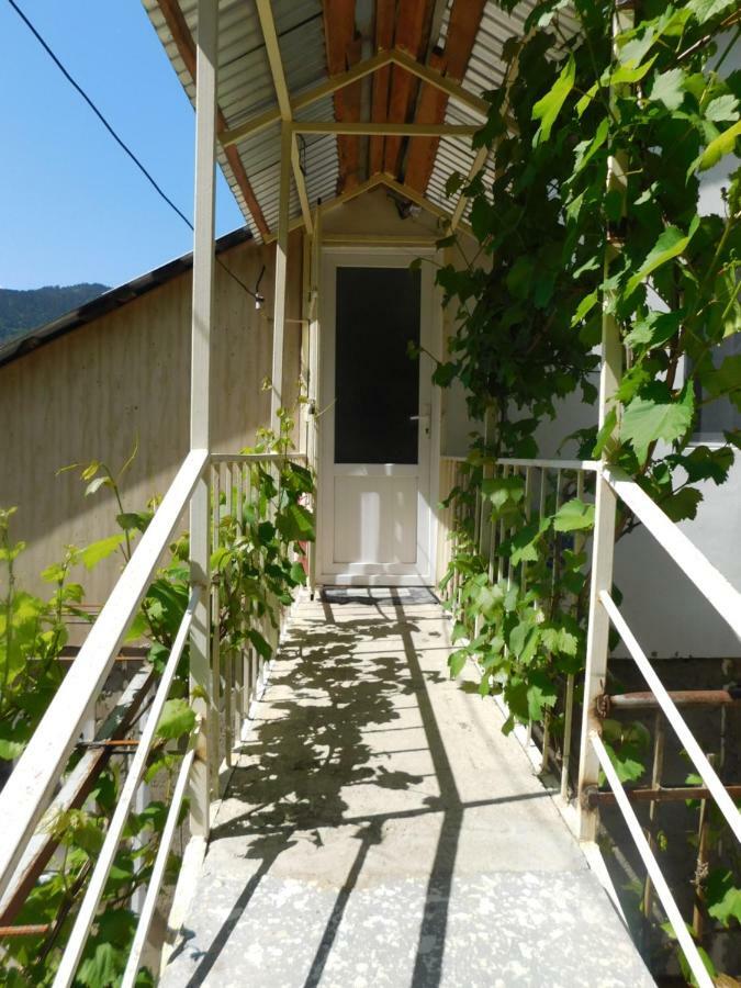 Akaki'S Guesthouse Borjomi Exterior photo
